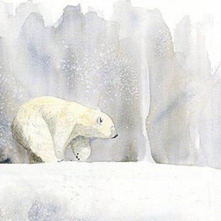 Walking The Edge - Polar Bear